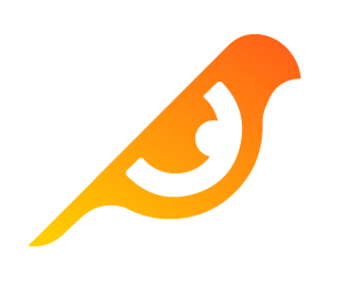 Birdeye.so Logo