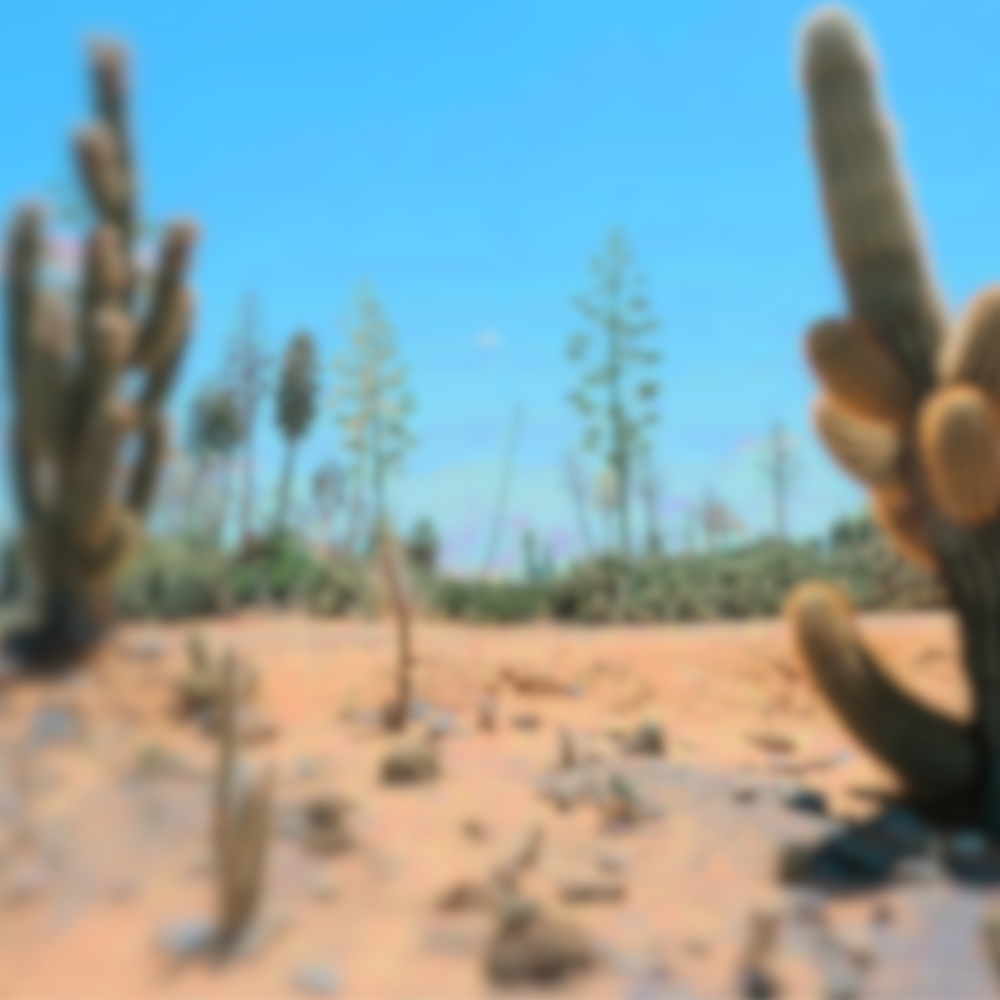 Desert