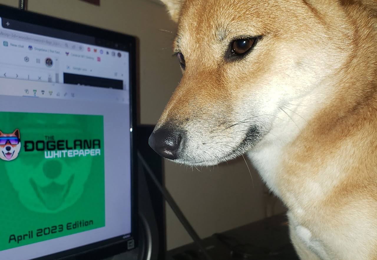 Lana, the real-life Dogelana